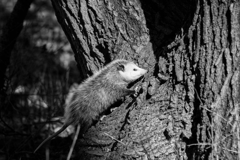 Oh no! Something is close to me, gotta hide...